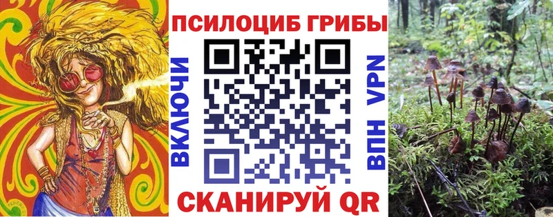 Псилоцибиновые грибы Psilocybe Сокол