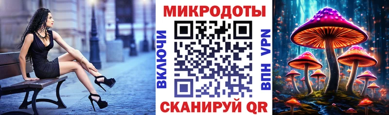 где найти наркотики  Сокол  Псилоцибиновые грибы Magic Shrooms 