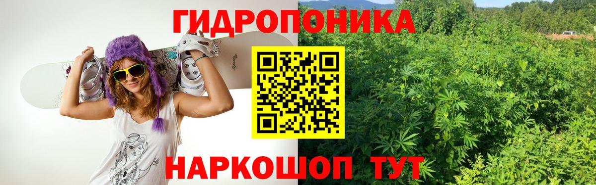 Канабис Amnesia Сокол